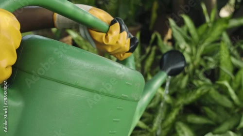 lift green watering can to water plants photo