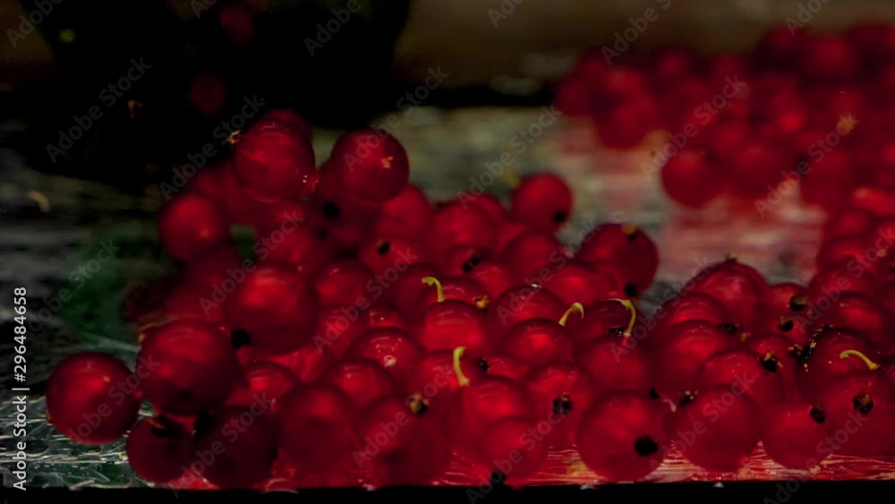 Green scoop-net catches red currants and pulls it up in transparent water on black background. Fresh organic berries in aquarium. Grocery store, healthy food, vegetarianism. Slow Motion. Close-up. Green scoop-net catches red currants and pulls it up in transparent water on black background. Fresh organic berries in aquarium. Grocery store, healthy food, vegetarianism. Slow Motion. Close-up.