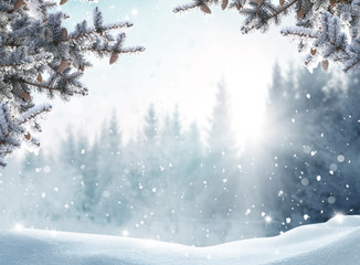Beautiful winter landscape with snow covered trees.Merry Christmas and happy New Year greeting background with copy-space.