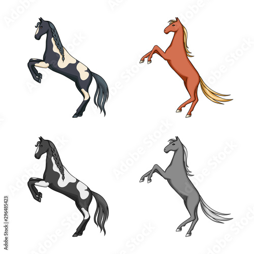 Vector illustration of breed and equestrian icon. Collection of breed and mare stock vector illustration.