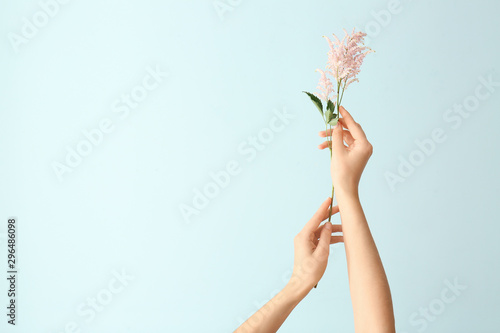 Female hands with beautiful flowers on color background