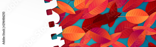 Autumn banner or website header with fall red and orange leaves under a torn out sheet of note pad paper with free space for text. Vector illustration.
