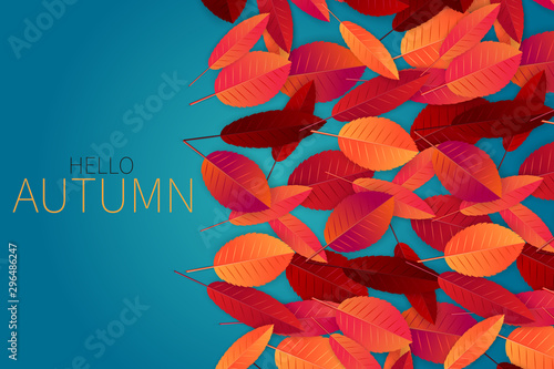 Hello autumn design with red and orange leaves on blue background. Vector illustration.