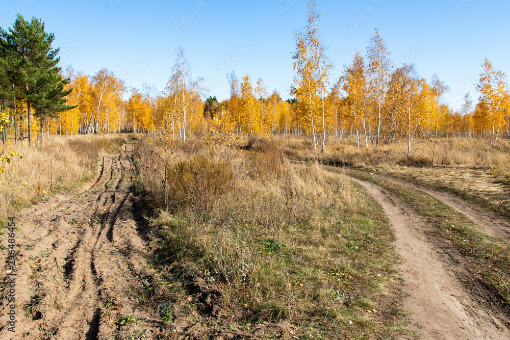 Road to the autumn forest, autumn nature landscape. Road to the autumn forest, autumn nature landscape.