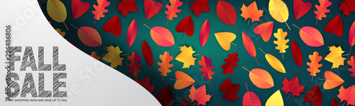 Fall sale banner or site header. Concept for advertising, promo, decoration. Red and orange tree leaves on green background and space for typography. Vector illustration.