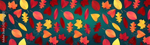 Autumn red and orange leaves on green background. Autumn long banner. vector illustration.