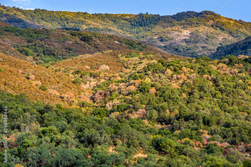 landscape in Sequoia national park with river Kaweah landscape in Sequoia national park with river Kaweah