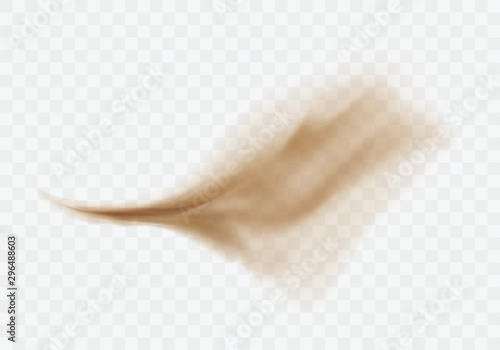 Desert sandstorm, brown dusty cloud or dry sand flying with gust of wind, big explosion realistic texture vector illustration isolated on transparent background