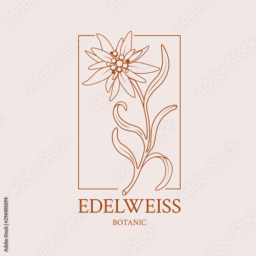 Flower design of the logo with a hand-drawn flower of Edelweiss