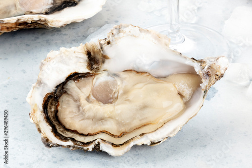 A large oyster, fresh and raw, close-up with ice