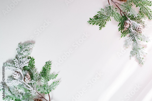 spruce branches in the snow with cones and sunlight rayson a white background. Christmas background. Space for text. Top view. photo