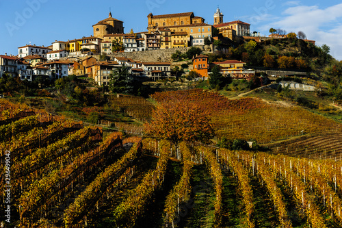 Langhe n. 7: La Morra e le vigne photo