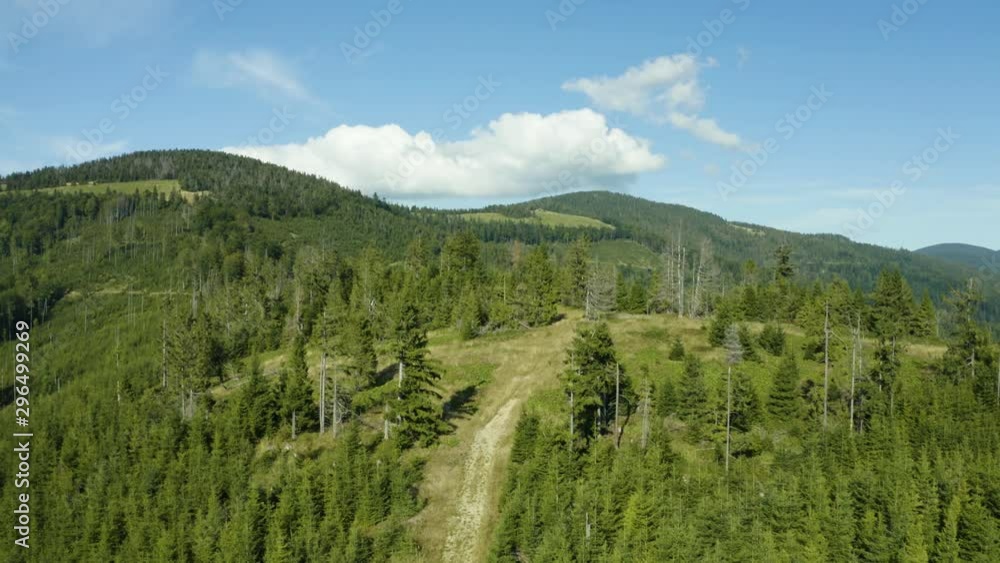 Aerial view of forested Beskid Mountains in Poland, mountain range in the Carpathians. Steep driveway of the forest road, few withered trees among green conifers Aerial view of forested Beskid Mountains in Poland, mountain range in the Carpathians. Steep driveway of the forest road, few withered trees among green conifers