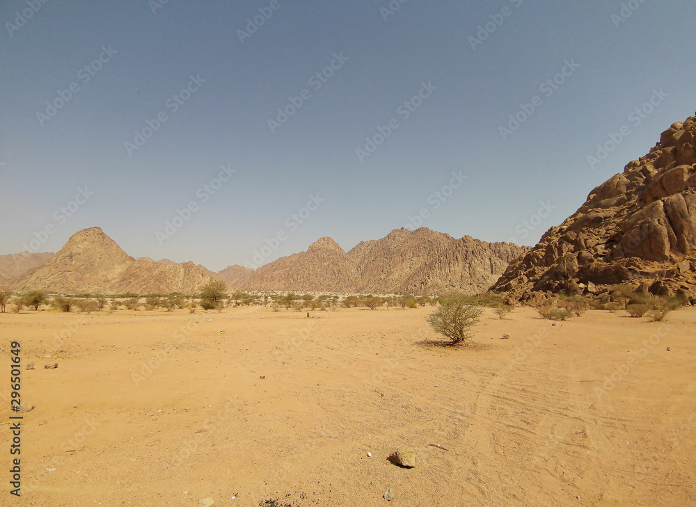 Landscape of desert view on extreme heat weather. Travel concept