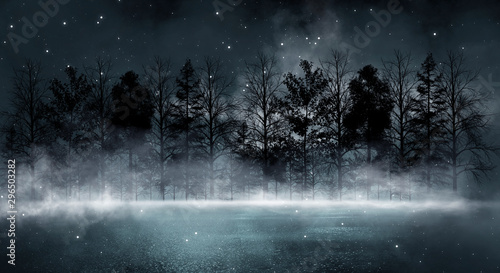 Ciemny las. Ponura ciemna scena z drzewami, dużym księżycem, światłem księżyca. Dym, cień. Streszczenie tło ulicy ciemne, zimne. Nocny widok.