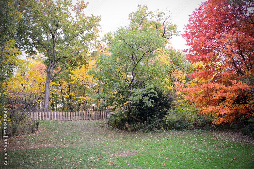 Naklejka premium Central Park