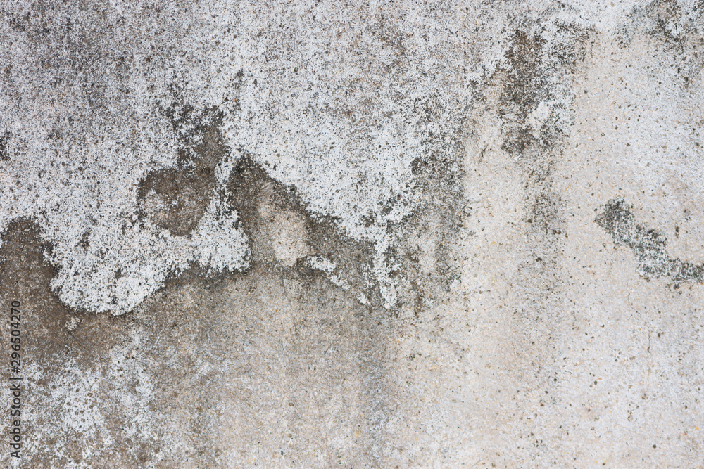 The old cement wall There are dark stains caused by mold. The old cement wall There are dark stains caused by mold.