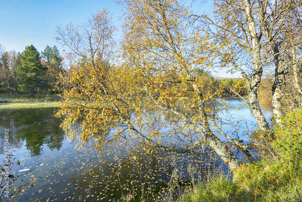 Obraz premium River Inna, Norway