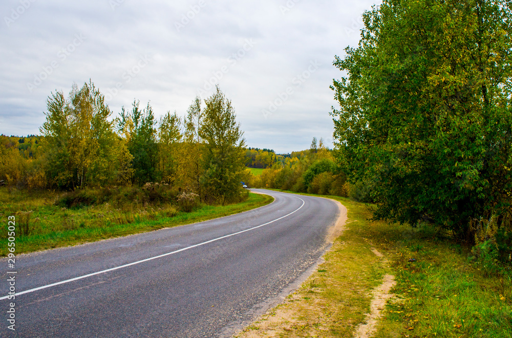 Autumn texture. Road with autumn yellow foliage.