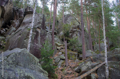 Scandinavian mountain nature with stones. Rocks in the forest with moss.