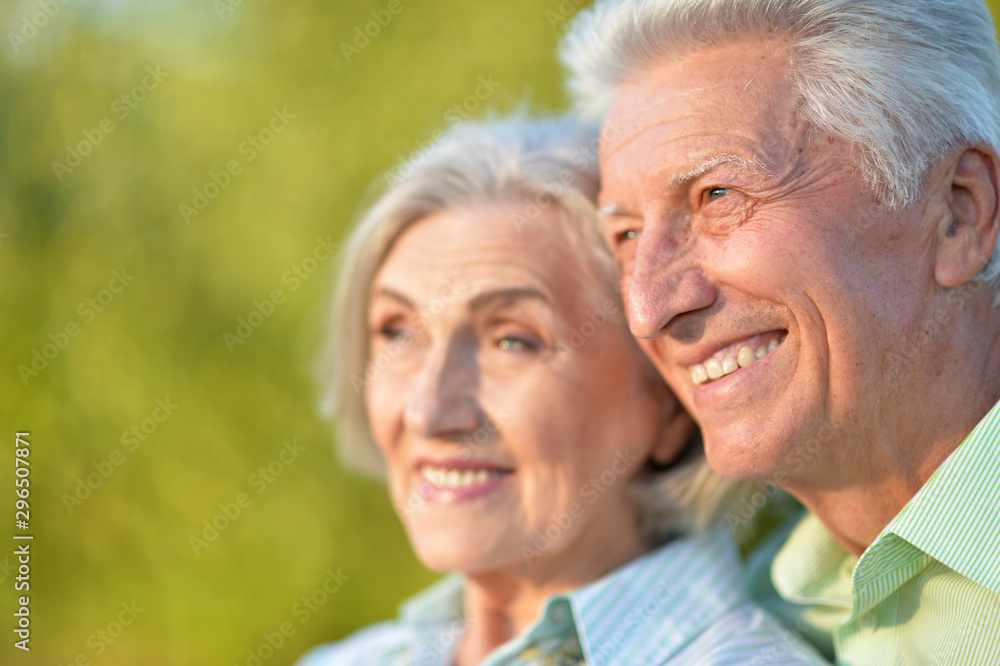 portrait of beautiful senior couple in the park portrait of beautiful senior couple in the park