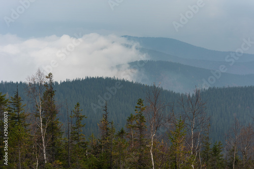 Charming autumn on mountain ranges in Ukrainian Carpathians with beautiful hiking landscapes