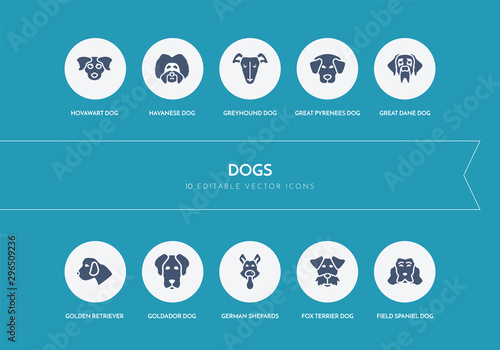 10 dogs concept blue icons