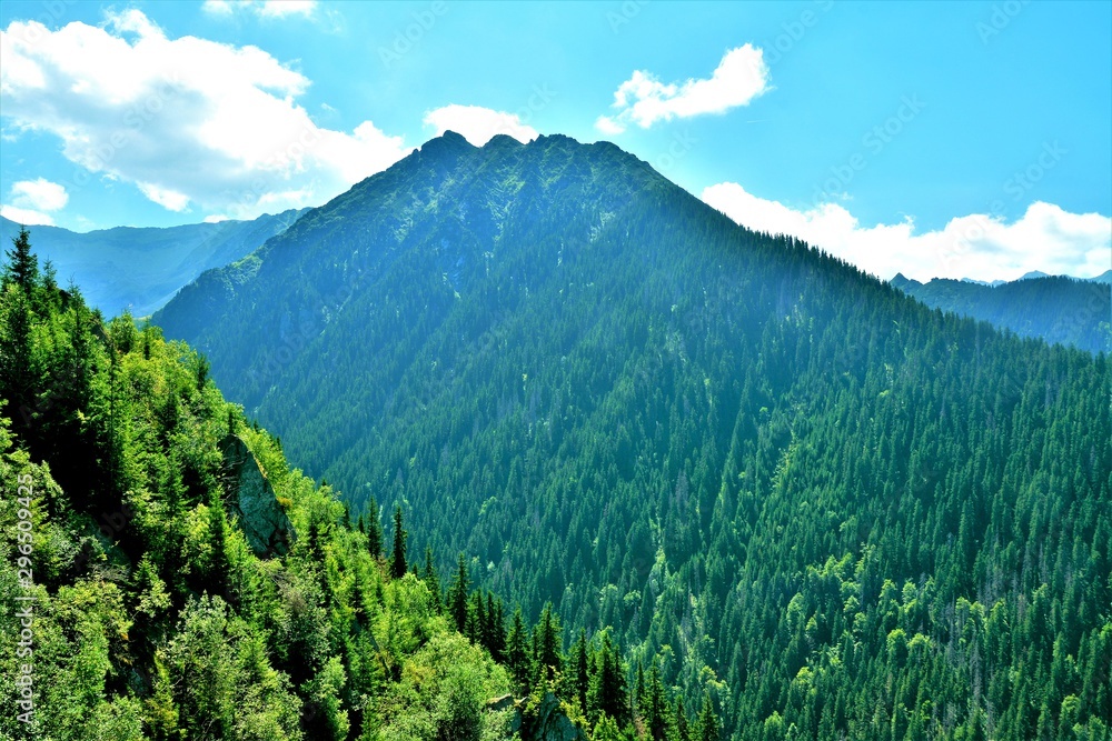 Fototapeta premium landscape of the Fagaras mountains Romania