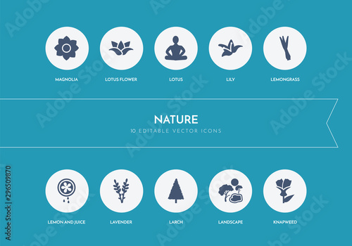 10 nature concept blue icons