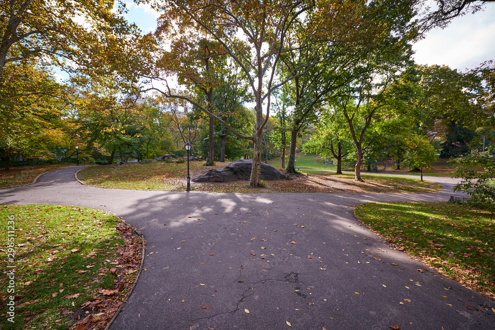 Obraz premium autumn in the park