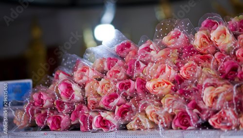 Roses for paying respect to monks.