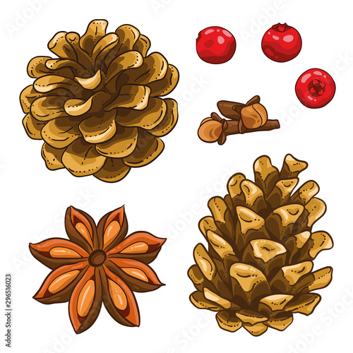 Christmas illustration hand draw vector. Star anise, pine cone, cloves, holy or berries. Isolated od white background. Winter spices, hot drink.