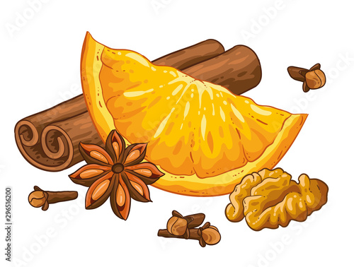 Christmas illustration hand draw vector. Star anise, cinnamon, walnut, cloves and orange. Isolated od white background. Winter spices.