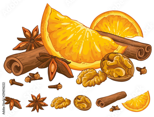Christmas illustration hand draw vector. Star anise, cinnamon, walnut, cloves and orange. Isolated od white background. Winter spices.