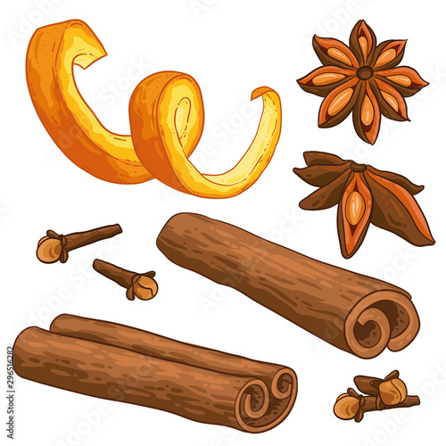 Christmas illustration hand draw vector. Star anise, cinnamon rolls, cloves and orange peel. Isolated on white background. Winter spices.