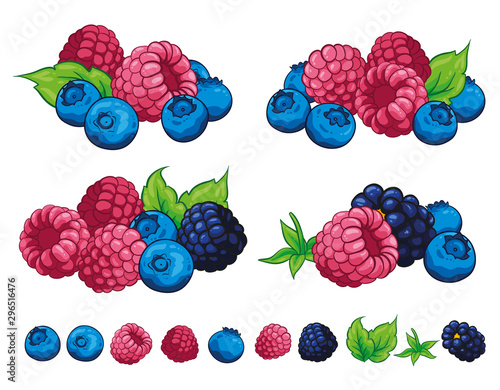 Berry berries Illustration hand draw vector. Group of Cranberry, blueberry, leaves, berries, raspberry, blackberry collection. Isolated on white background. Berry fruits. 