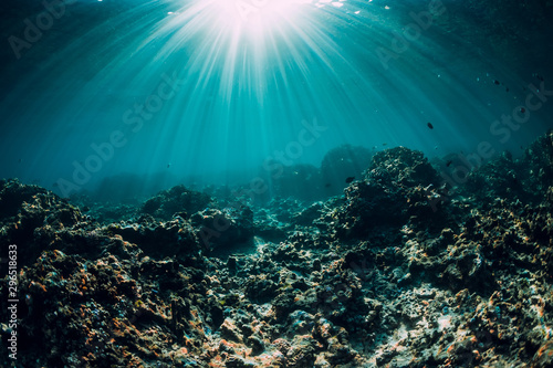Underwater scene with corals, rocks and sun rays. Tropical blue sea
