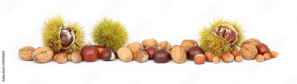 Fruits of autumn border. Comestible sweet chestnuts, nuts and hazelnuts isolated on white background. Fruits of autumn border. Comestible sweet chestnuts, nuts and hazelnuts isolated on white background.