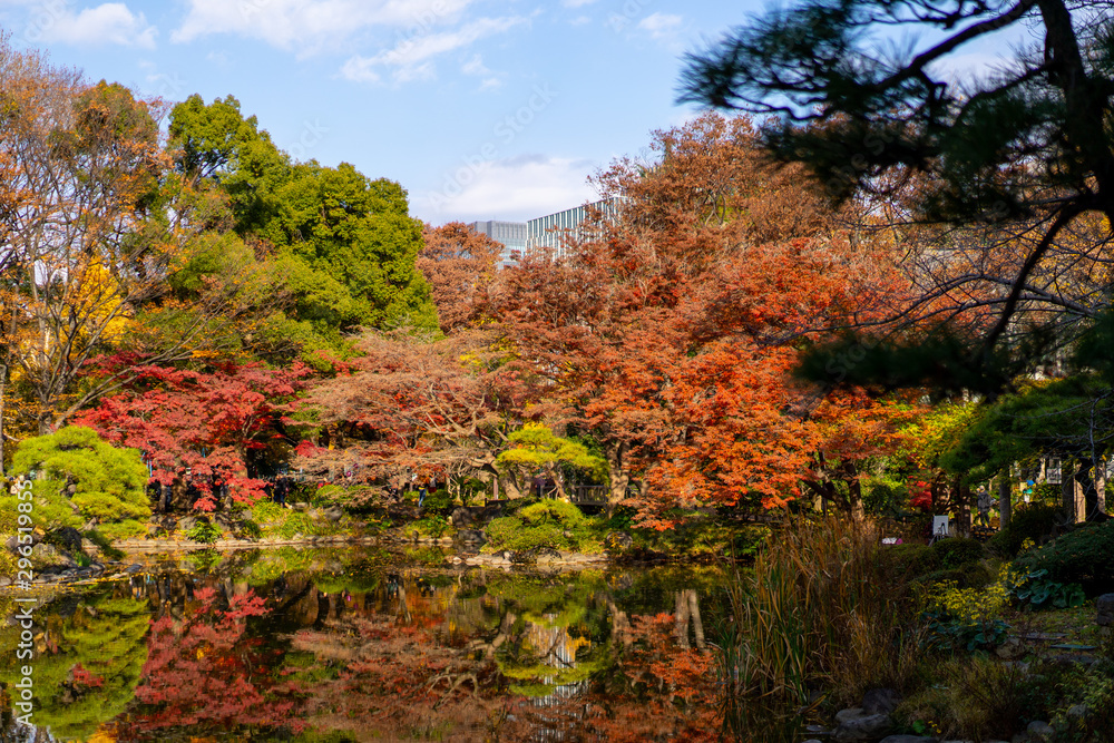 Fototapeta premium 日比谷公園の紅葉と池