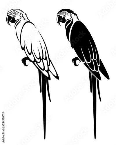 Vector set of decorative, detailed, isolated, sitting parrots in black color, on white background. Outline and silhouette. 