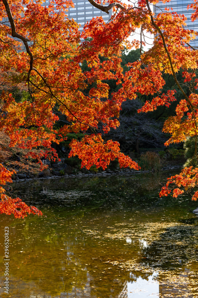 日比谷公園の紅葉と池