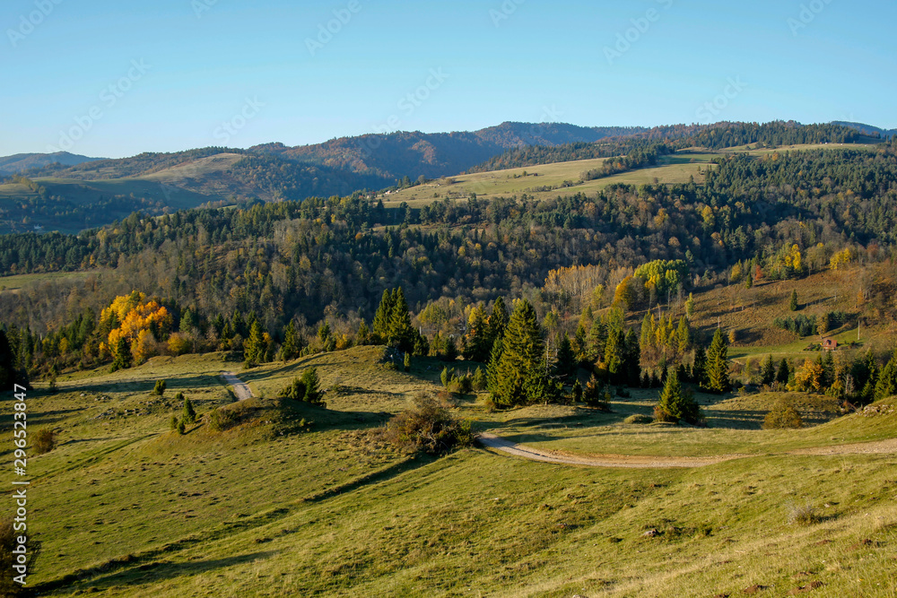 winding mountain path in Pieniny Mountains, Szczawnica, Poland