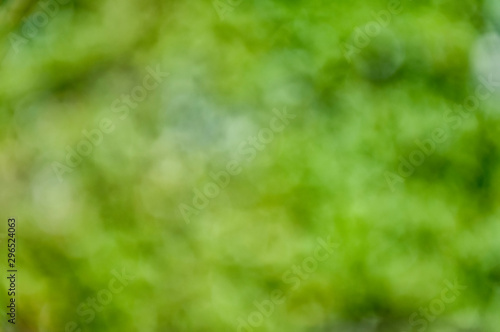 Natural outdoors bokeh in green and yellow tones © Nutty Nuttpol Ps
