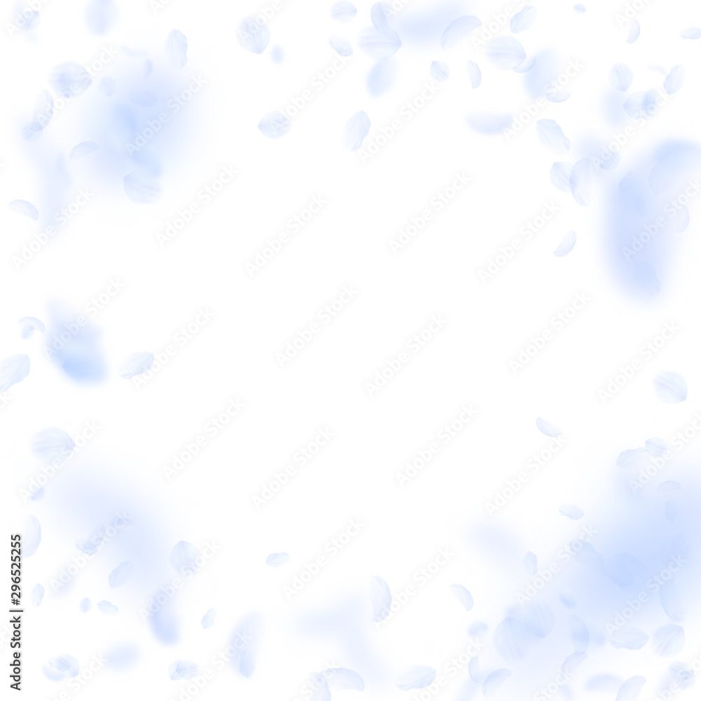 Light blue flower petals falling down. Extra roman Light blue flower petals falling down. Extra roman