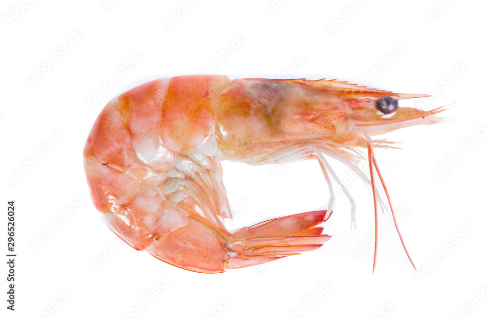Shrimp isolated on the white background