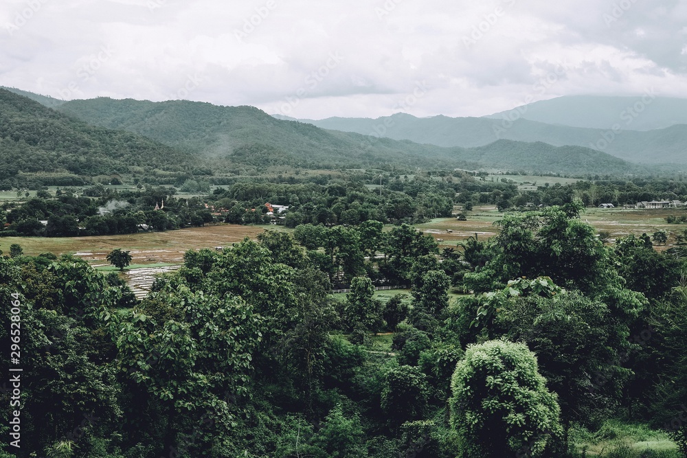 Freshness green forest with Pai river and Mountain at Pai, Mae Hong Son, Thailand