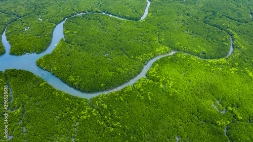 Aerial view mangrove jungles in Thailand, River in tropical mangrove green tree forest top view, Ecosystem and healthy ecology environment concept and background.
