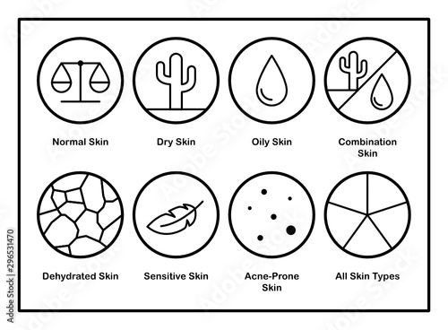 Different Skin Types. Cosmetic Icons - Vector Icon Set photo