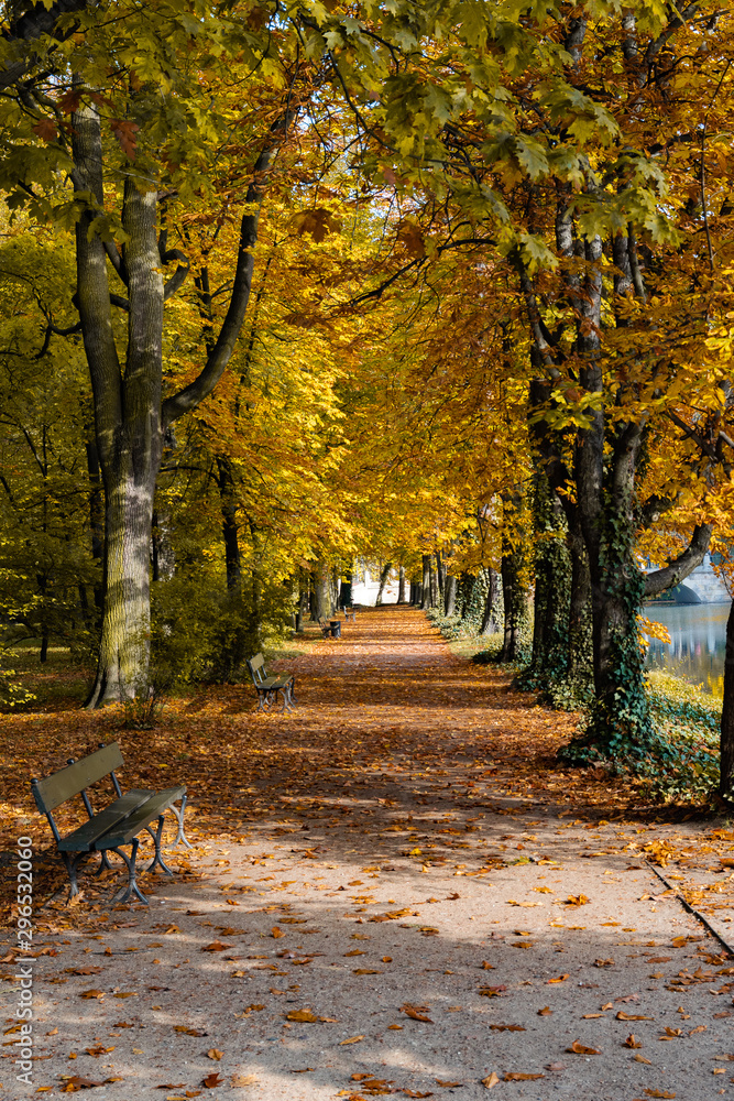 Naklejka premium avenue of autumn trees in park 