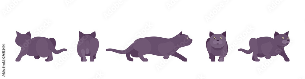 Black Cat sneaking. Active healthy kitten with dark, gray colored fur, cute funny pet, mystic bad luck omen. Vector flat style cartoon illustration isolated on white background, different views Black Cat sneaking. Active healthy kitten with dark, gray colored fur, cute funny pet, mystic bad luck omen. Vector flat style cartoon illustration isolated on white background, different views